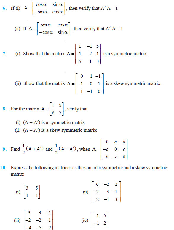 matrix mathematics class 12 solutions