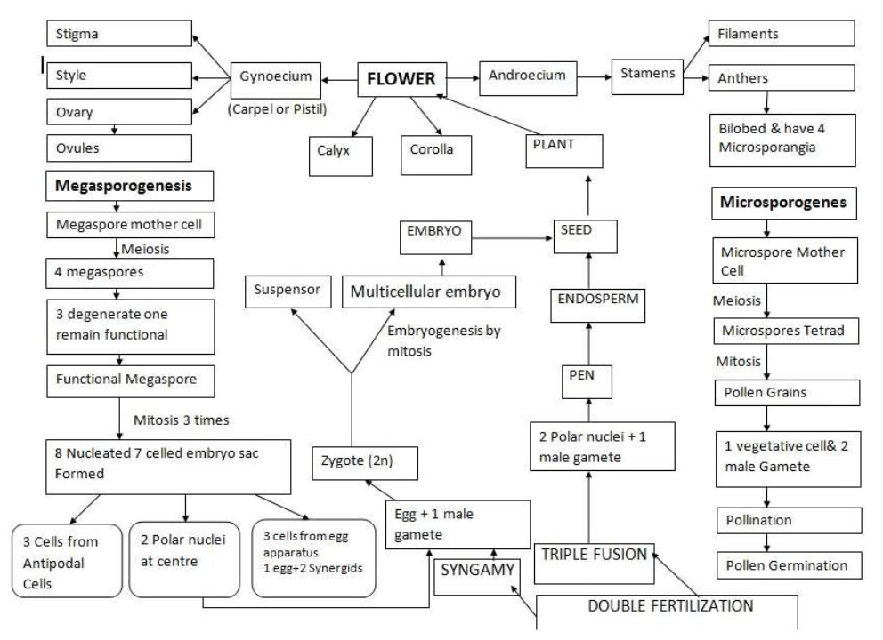 ebook Advances in Written