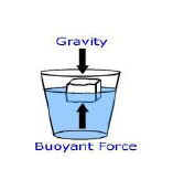 Class 9 Science Notes Chapter 10 GRAVITATION pdf download