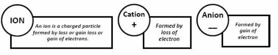 ion cation anion