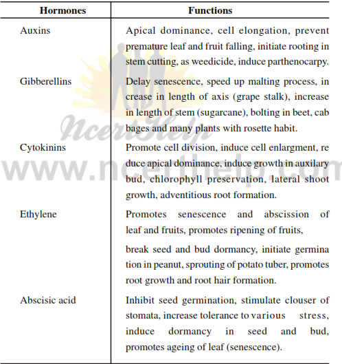 Plant Growth And Development Notes For Class 11 Download In Pdf