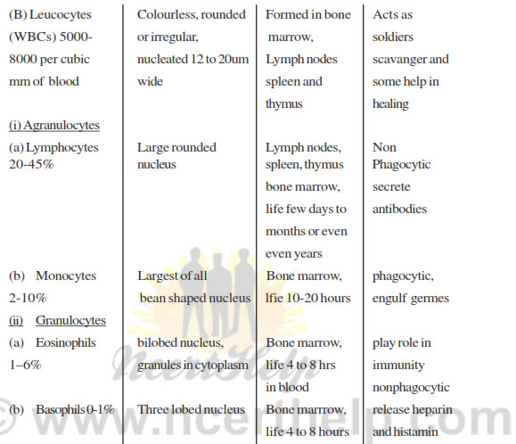 Body Fluids and Circulation 