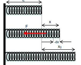 Mathematical Expression for Elastic Potential Energy 