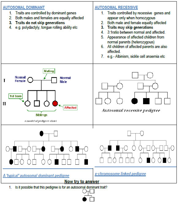 Four patterns of inheritance