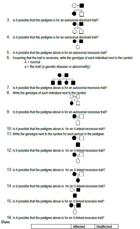 Pedigree Analysis Four patterns of inheritance