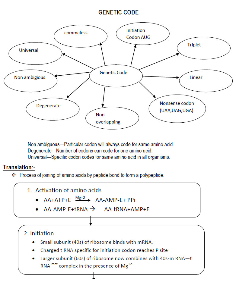 GENETIC CODE