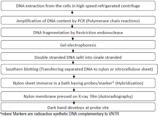 Dna Profiling Flow Chart