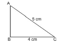 area of the adjoin figure